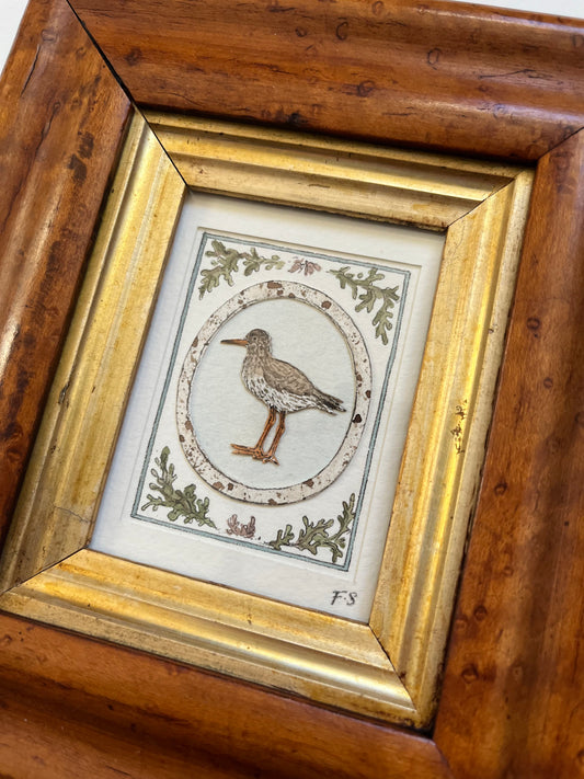 Redshank Cameo