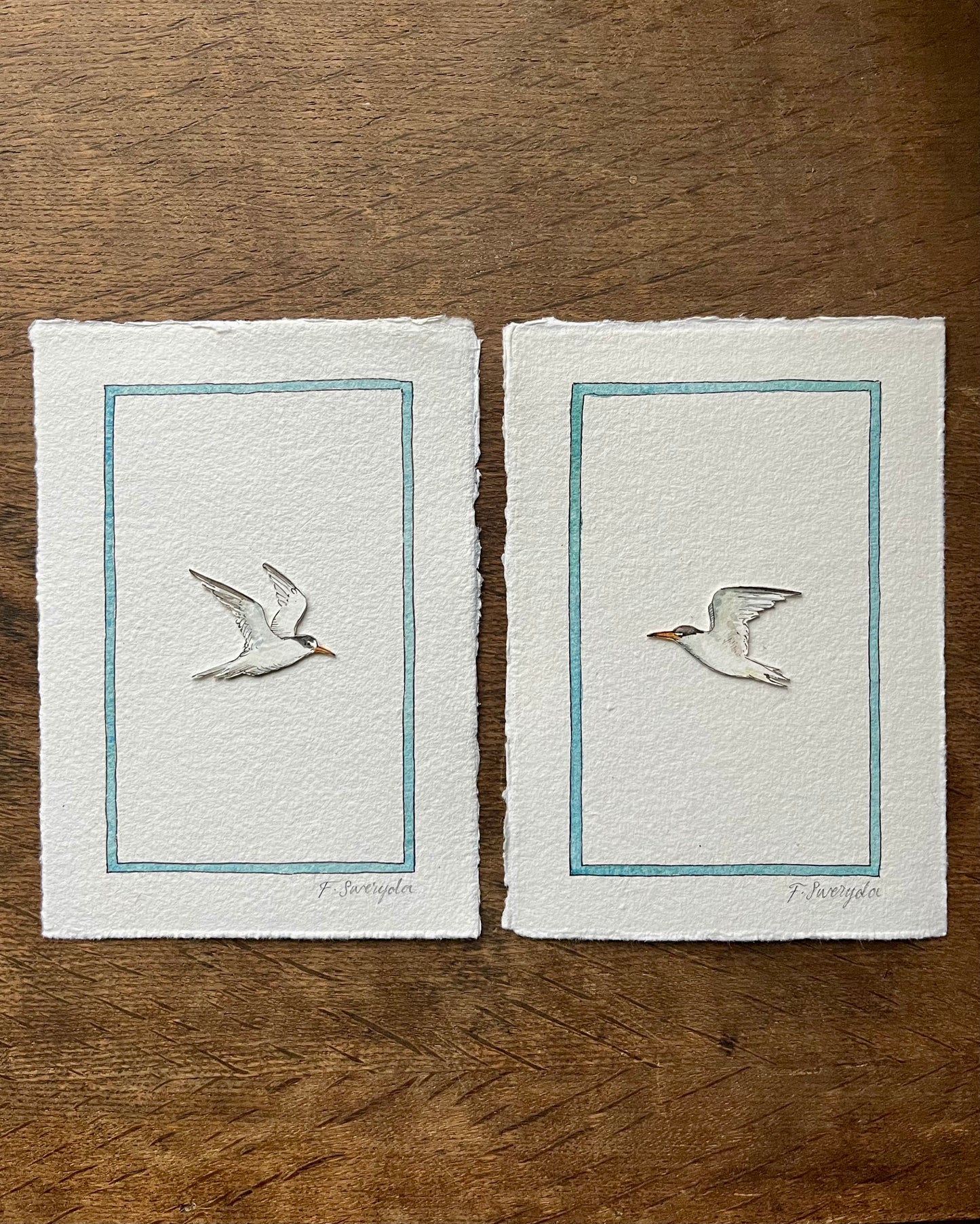 Little Tern Pair