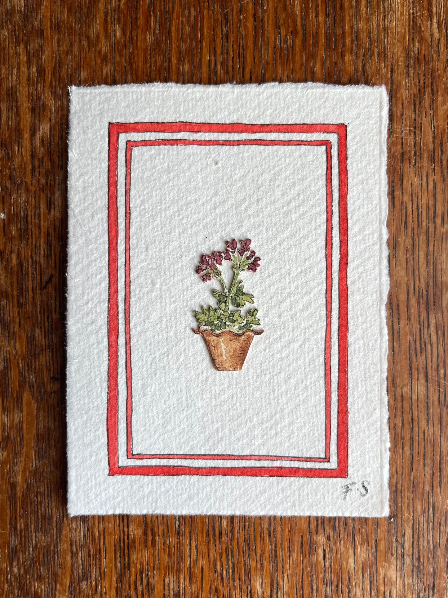 Potted Pel No.4