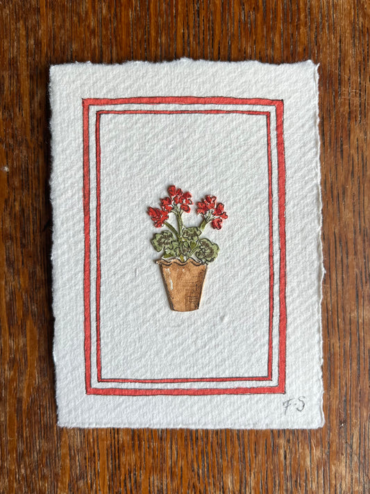 Potted Pel No.1
