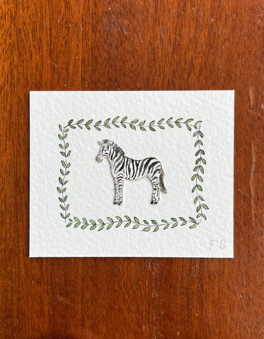 Zebra