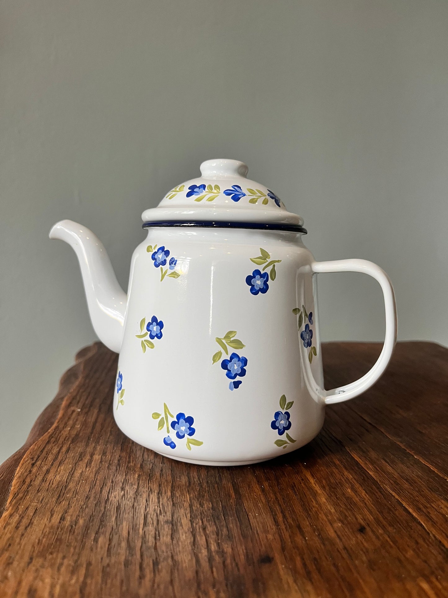 Small Enamel Teapot Blue Alpine