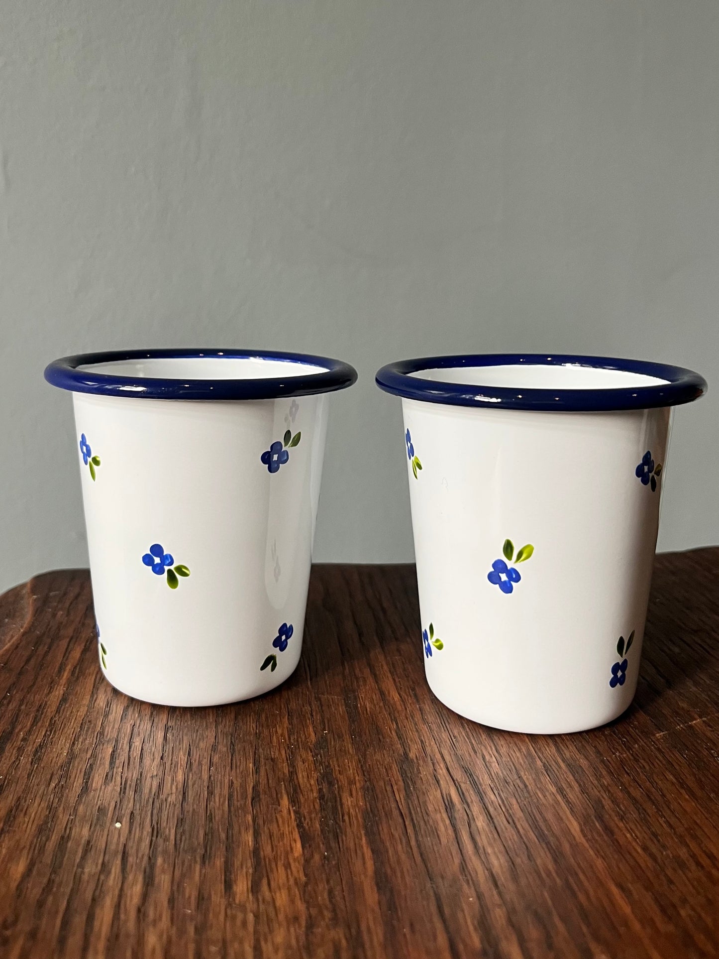 Pair of Enamel Tumblers - Borage Ditsy
